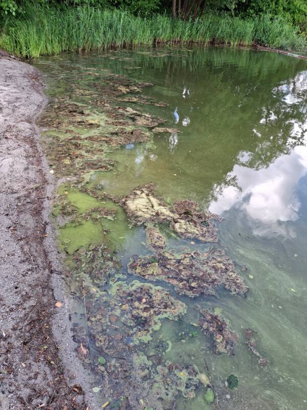 Bild